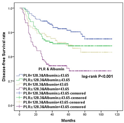 Kaplan-Meier survival curves showing the relationship between disease-free survival (DFS) in cervical cancer patients with cervical cancer and the combination of preoperative PLR and albumin.