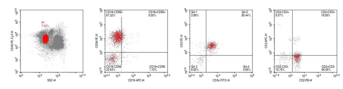 Result of the flow cytometry, based on the biopsy tissue