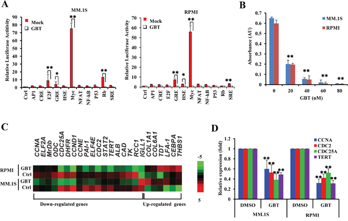 GBT targets c-Myc-mediated transcription.