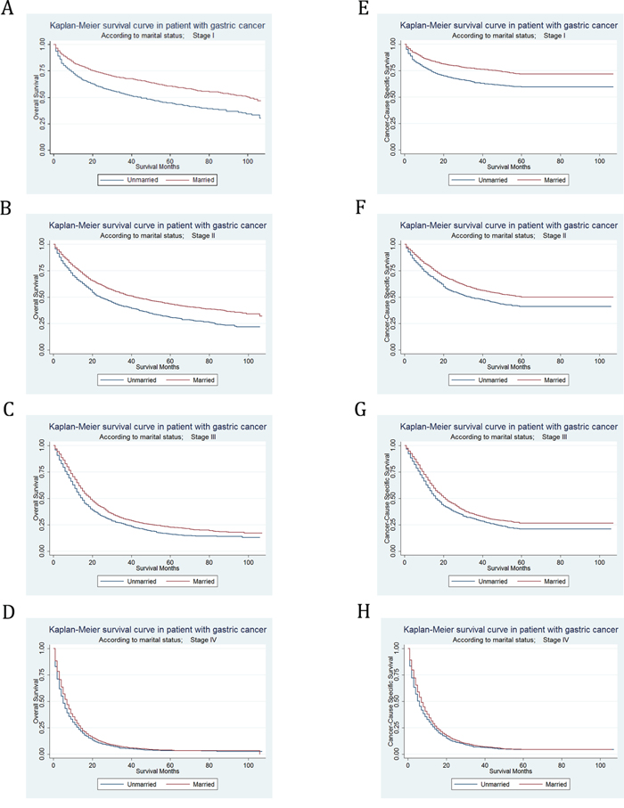 Kaplan-Meier Survival curves: The overall and cancer-caused specific survival of patients with gastric cancer according to marital status by TNM stage at diagnosis.