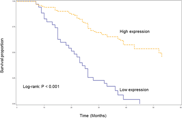 Kaplan-Meier overall survival curve stratified by lncRNA AB209630 expression.