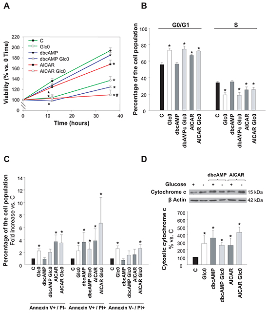 Hepatocarcinoma derived cells survival during glucose deprivation.