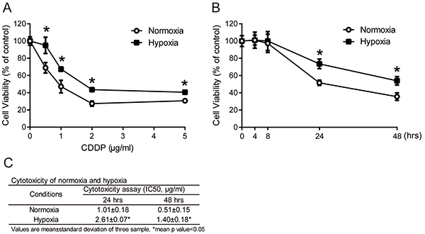 Drug resistance in tumor cells under hypoxia.