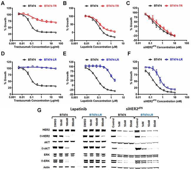Dose response characterization of parental BT474 and BT474 with acquired resistance to trastuzumab (BT474-TR) or lapatinib (BT474-LR) to HER2-targeted agents.