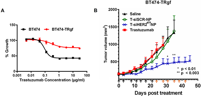 Efficacy of T-siHER2d75-NP in BT474-TRgf.