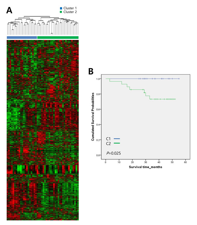 Hierarchical clustering analysis of gene expression data from 48 human gastric adenocarcinoma tissue samples.
