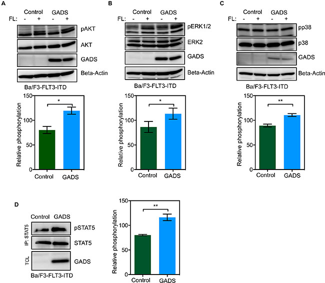 GADS expression enhances FLT3-ITD-induced STAT5 signaling.