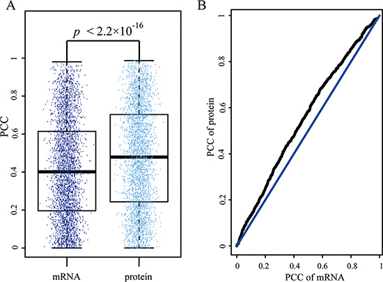 Disagreement of Pearson coefficient correlation (PCC) for each interaction in mRNA and protein expression level.