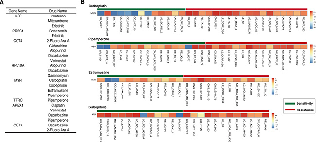 Signature genes associated with some drugs&#x2019; chemoresponse.