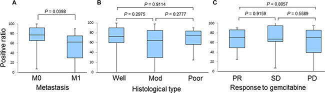 A comparison of the positive p-HSP27 ratios in patients based on the presence or absence of metastasis (A), histological type (B), and response to gemcitabine-based chemotherapy