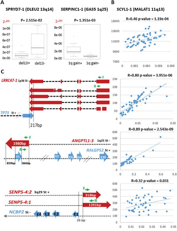Quantitative RT-PCR validation of lncRNA expression in 60 MM cases.