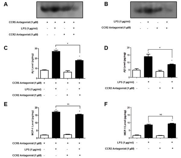 Activation of NF-&#x138;B and level of A&#x3b2;1-42 and MCP-1 in DAPTA treated BV-2 cells and cultured astrocytes isolated from CCR5