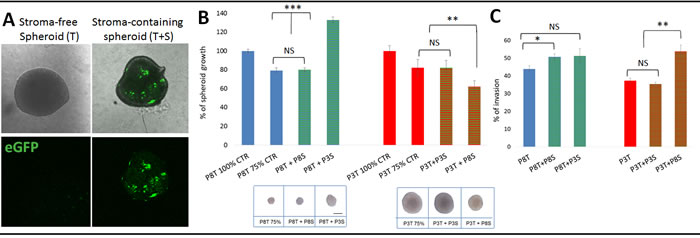 Tumour-instructed stromal cells affect tumour cell behaviour