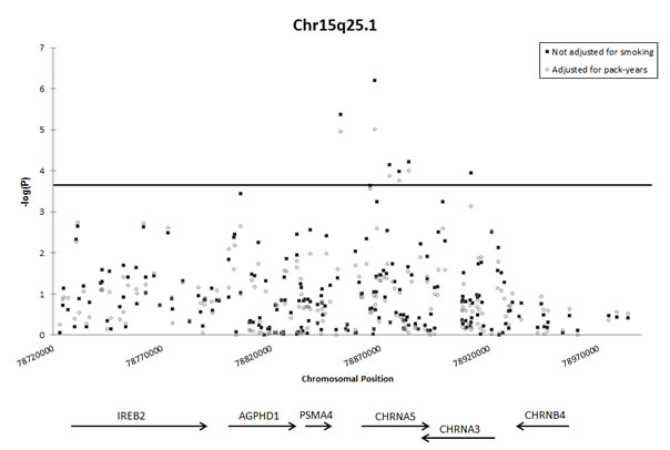 Association of SNPs on chromosome 15q25.1 with lung cancer, with and without adjustment for pack-years smoked.