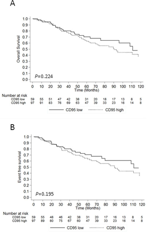Impact of CD95 expression on survival and event-free survival.