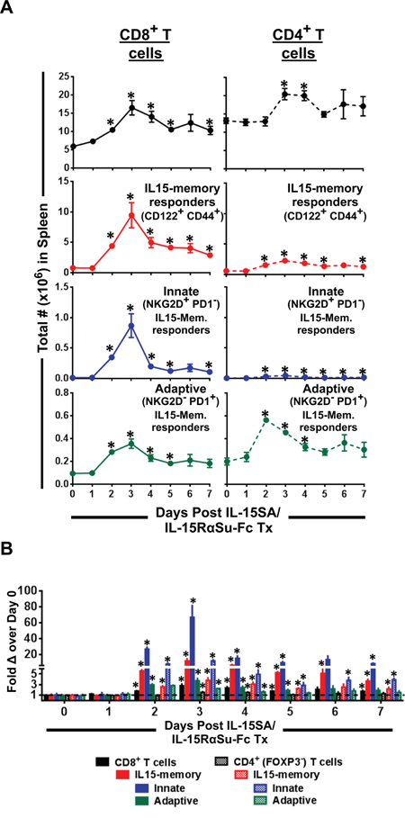 IL-15SA/IL-15R&#x03B1;Su-Fc increases IL-15 memory responders in splenic CD8+ T cell population, in particular those with the innate phenotype.