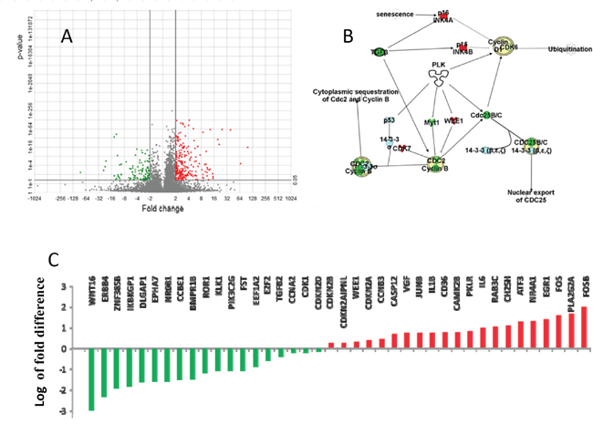 Differential gene expression between primary tumor (PT) and lymphatic metastasis (LM).