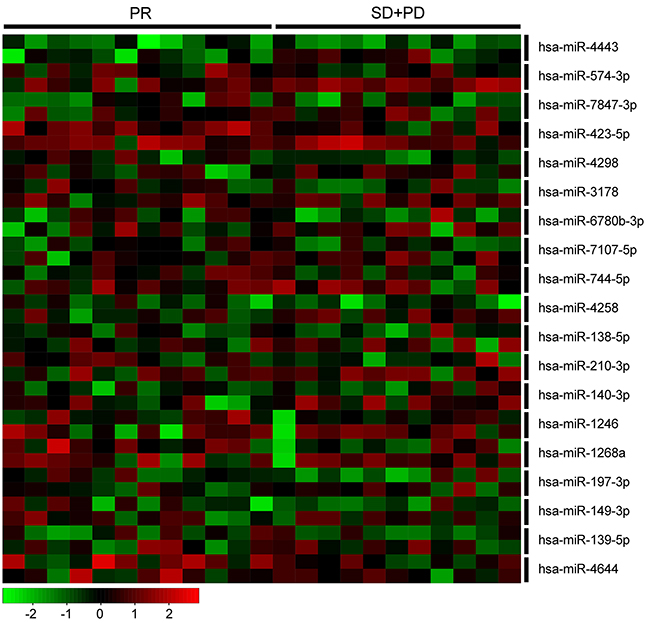 Heatmap of 19 miRNAs in 23 paired patient samples.