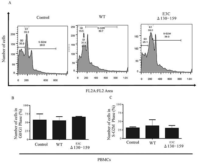 EBNA3C residues 130-159 of EBV is critical for G1 to S phase progression.