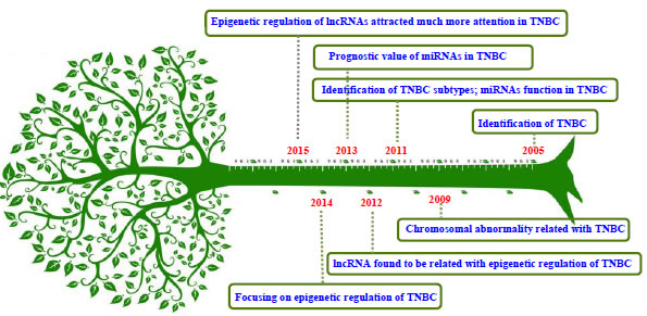 The evolution of exploring the mechanisms of TNBC.