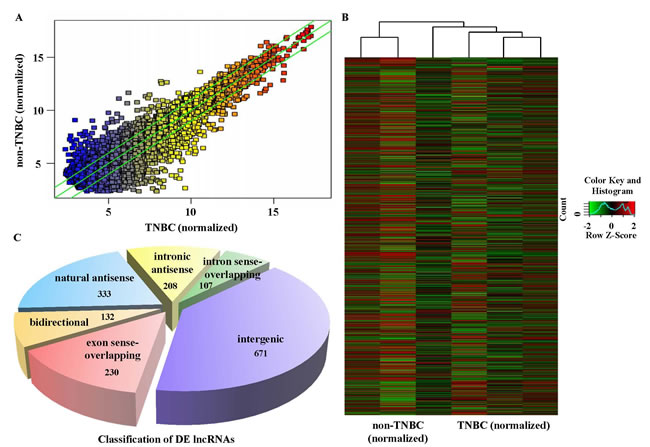 Differential lncRNA expression characteristics between TNBC and non-TNBC tissues.