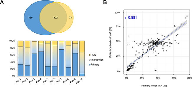 Comparison of genomic alterations between primary tumor and PDCs derived from primary tumor.
