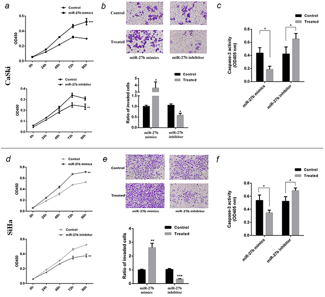 Function of miR-27b in CaSki and SiHa cells.