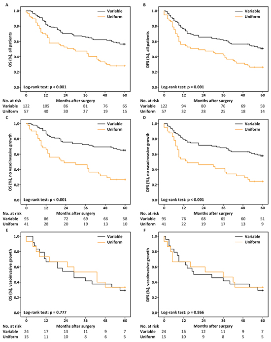 Kaplan-Meier curves and the No. of patients at risk.