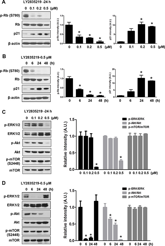 Effects of LY2835219 on RB pathway and intracellular signaling.