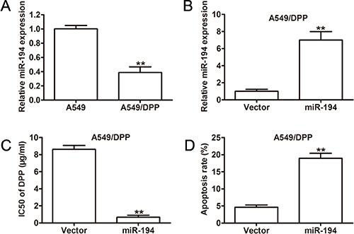Overexpression of miR-194 in A549/DPP cells significantly increases their sensitivity to DPP.