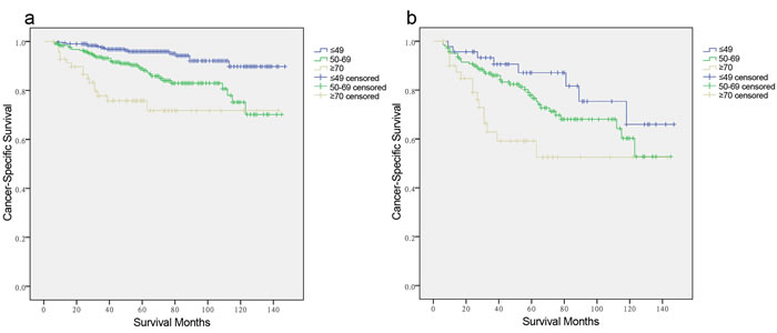 Log-rank tests of cancer-specific survival comparing among &#x2264; 49, 50-69, and &#x2265;70 years age subgroups for
