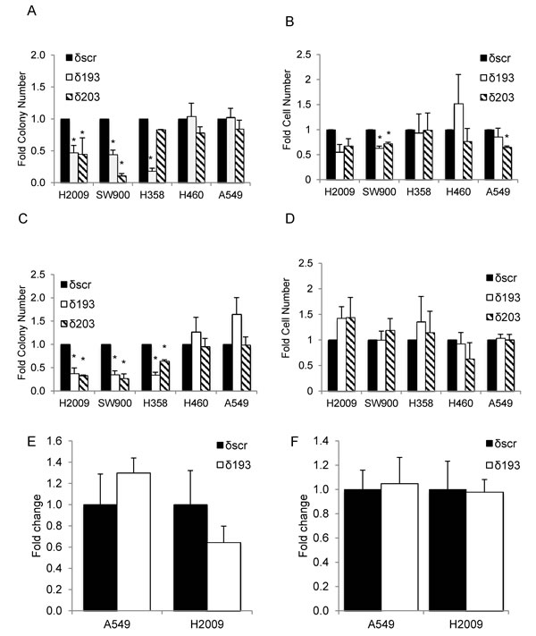 PKC&#x3b4; regulates survival in K-ras dependent cell lines.