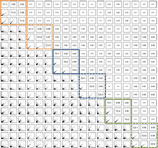 Pair-wise correlation of three tumor (T1-T3) / tissue pairs (C1-C3) that have been measured in technical triplicates.