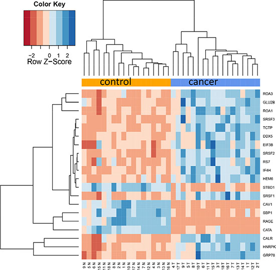 Figure 2A: Cluster heat map of 20 most differentially abundant proteins.