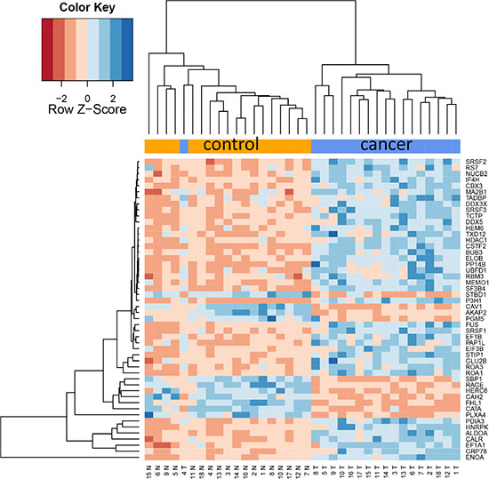 Figure 2B: Cluster heat map of 50 most differentially abundant proteins.