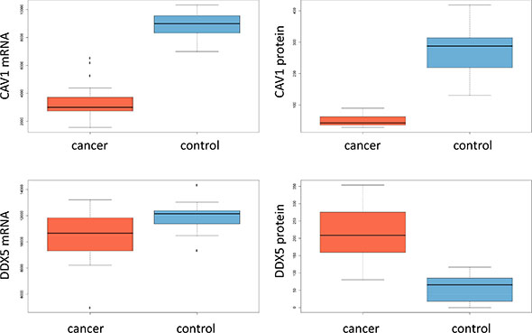 Box-plots for mRNA expression and protein abundance in cancer and controls for CAV1 and DDX5.