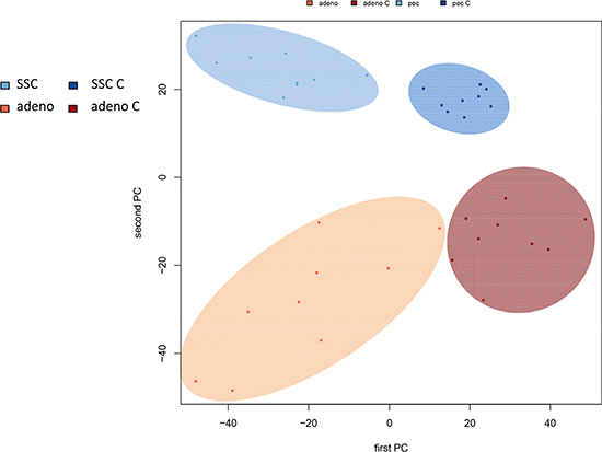 Figure 6B: Principal component analysis of all samples represented by a scatter plot of the first versus second principal component.