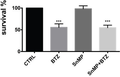 Cell viability following treatment with BTZ (15 nM for 24h) alone or in combination with SnMP (10 &#x03BC;M).