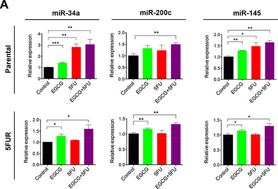 EGCG upregulates key self-renewal/tumor suppressive miRNAs in colorectal cancer cells.