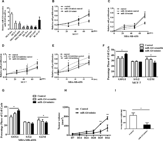 miR-124 inhibits breast cancer cell proliferation and induces cell cycle arrest in vivo and vitro.