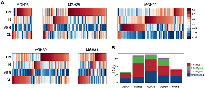 Expression patterns of GBM subtype-specific lncRNAs in individual tumors.