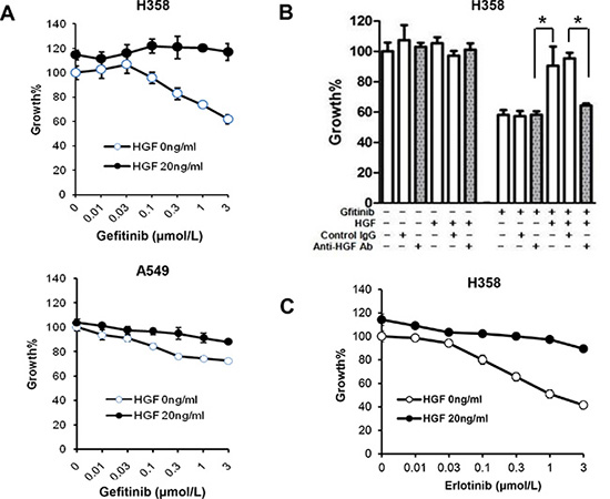 HGF reduces sensitivity to gefitinib in lung adenocarcinoma cells harboring wild-type EGFR.