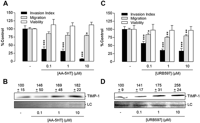 Impact of the FAAH inhibitors AA-5HT and URB597 on tumor cell invasion and TIMP-1 expression of A549 cells.