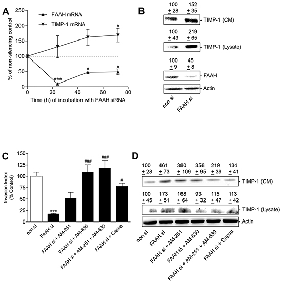 Impact of FAAH knockdown on tumor cell invasion and TIMP-1 expression - role of cannabinoid-activated receptors.