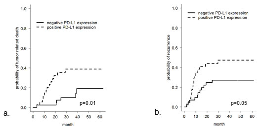 Overall tumor-related survival and recurrence-free survival in patients with SCC of the oral cavity with respect to PD-L1 immunohistochemical status.