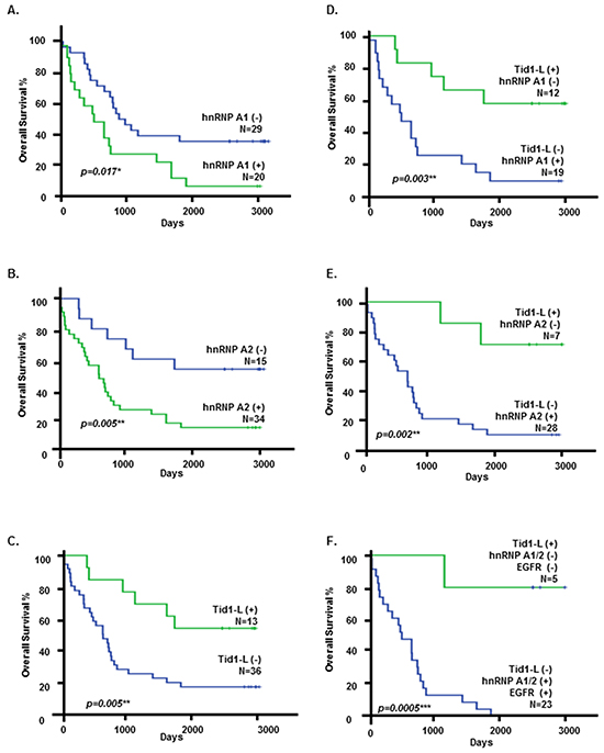 Kaplan-Meier analysis of overall survival in NSCLC patients.