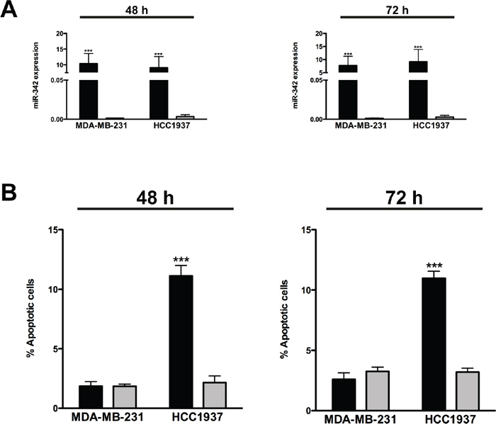 miR-342 overexpression induces apoptosis in BRCA1-mutant breast cancer cells.