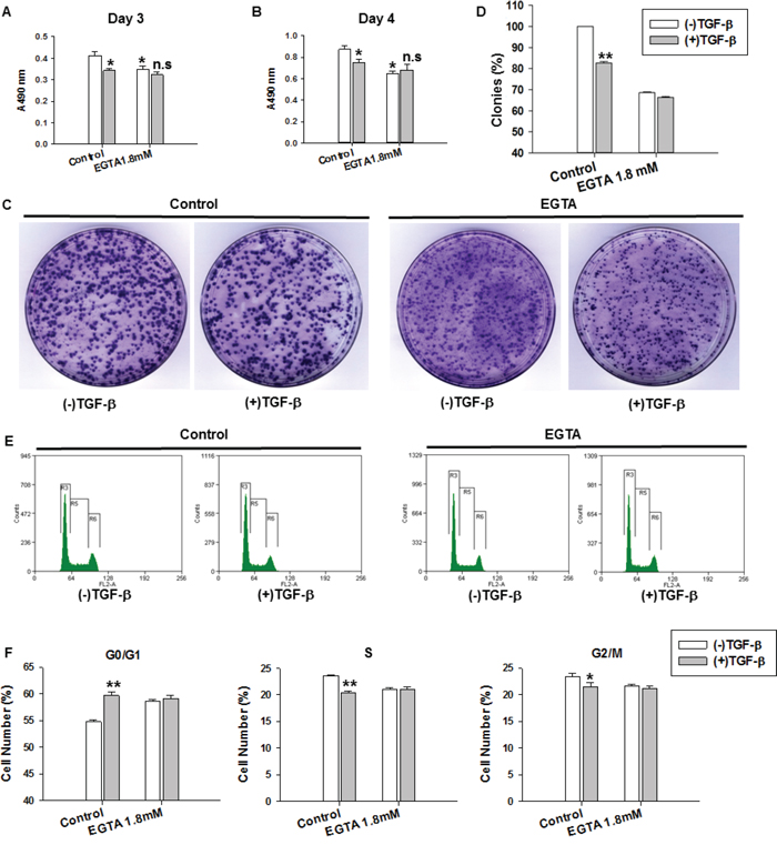 TGF-&#x03B2;-induced suppression of cell proliferation, cell colony formation and cell cycle arrest were impaired with EGTA treatment.