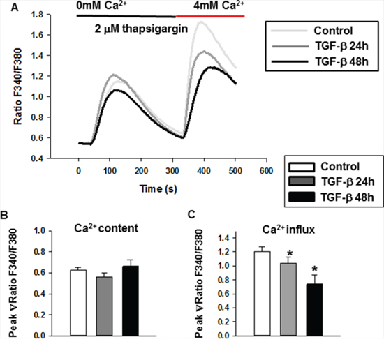 The store-operated Ca2+ entry decreased after TGF-&#x03B2; treatment in MDA-MB-231 cells.