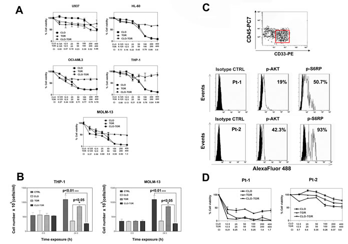 CLO-TOR affects viability of AML cell lines and blasts from AML patients with constitutively active PI3K/Akt/mTOR signaling pathway.